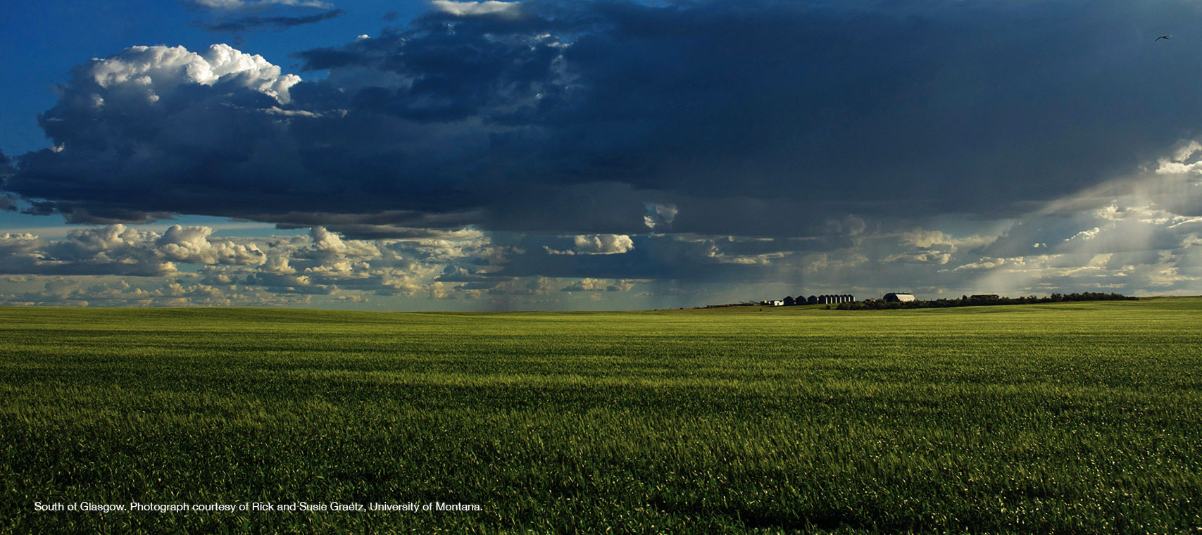 South of Glasgow, northeast Montana. Photograph courtesy of Rick and Susie Graetz, University of Montana.